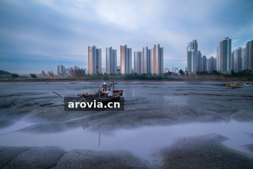 探球网2019年项目起步阶段团队工作场景